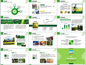 2018互聯(lián)網(wǎng)+農(nóng)副產(chǎn)品市場(chǎng)推廣企業(yè)營(yíng)銷(xiāo)策劃案